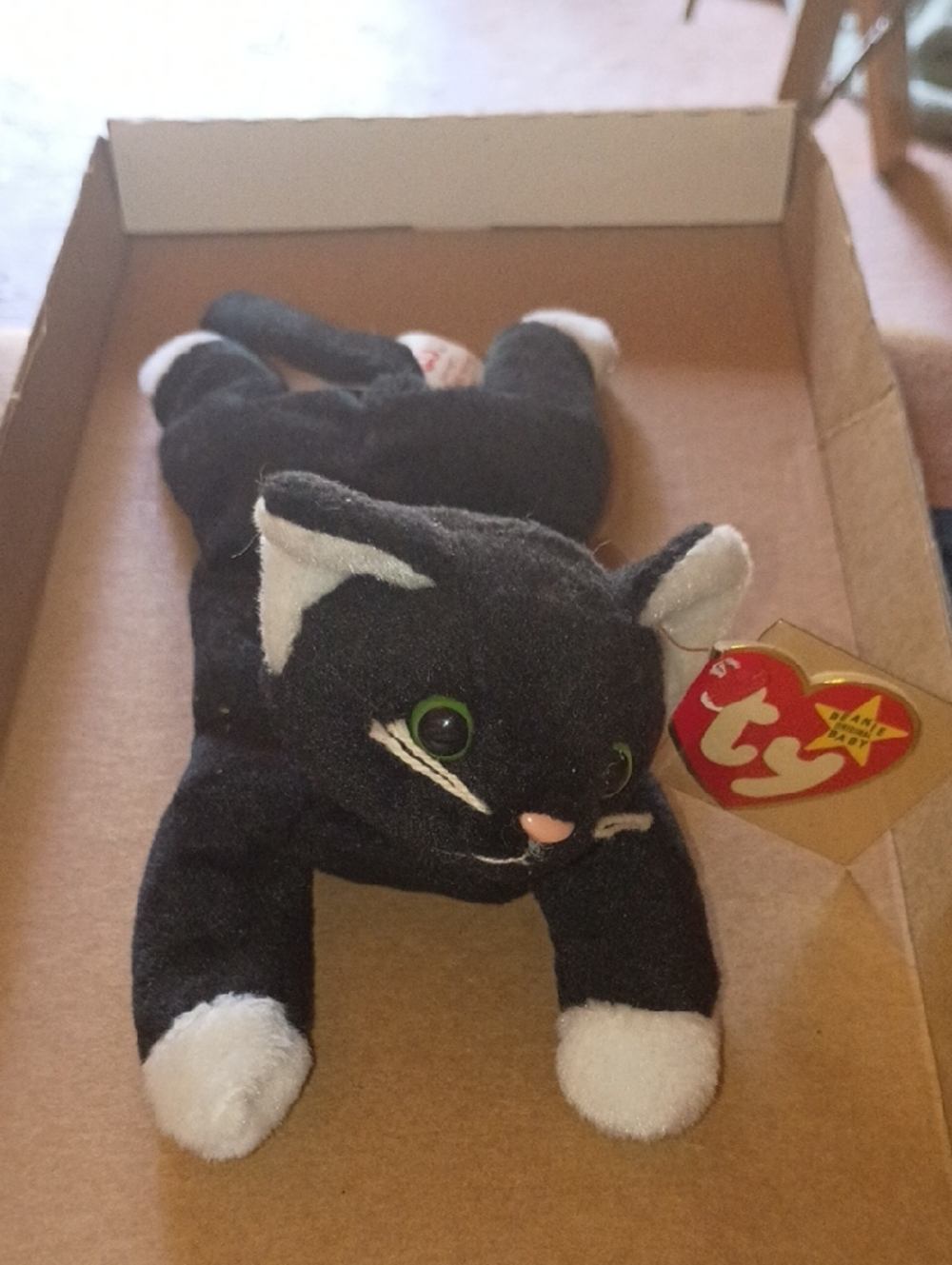 Ty Black & White Cat Plush with Green Eyes (Zip)